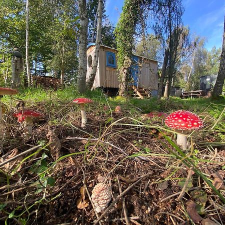 Sapphire Forest Garden Shepherd'S Hut Church Stretton Exterior foto