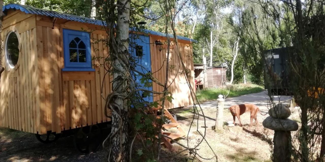 Sapphire Forest Garden Shepherd'S Hut Church Stretton Exterior foto