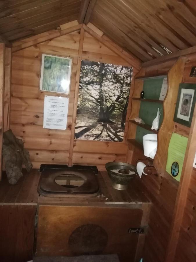 Sapphire Forest Garden Shepherd'S Hut Church Stretton Exterior foto