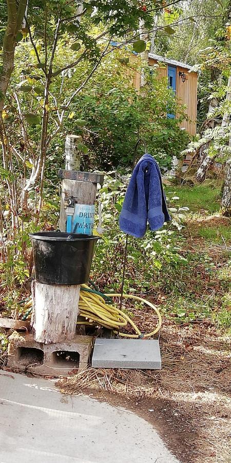 Sapphire Forest Garden Shepherd'S Hut Church Stretton Exterior foto